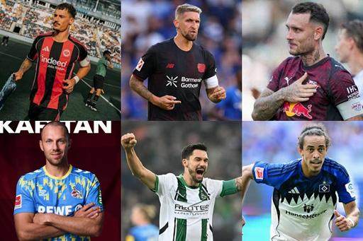 今夏还刚和 今夏还刚和