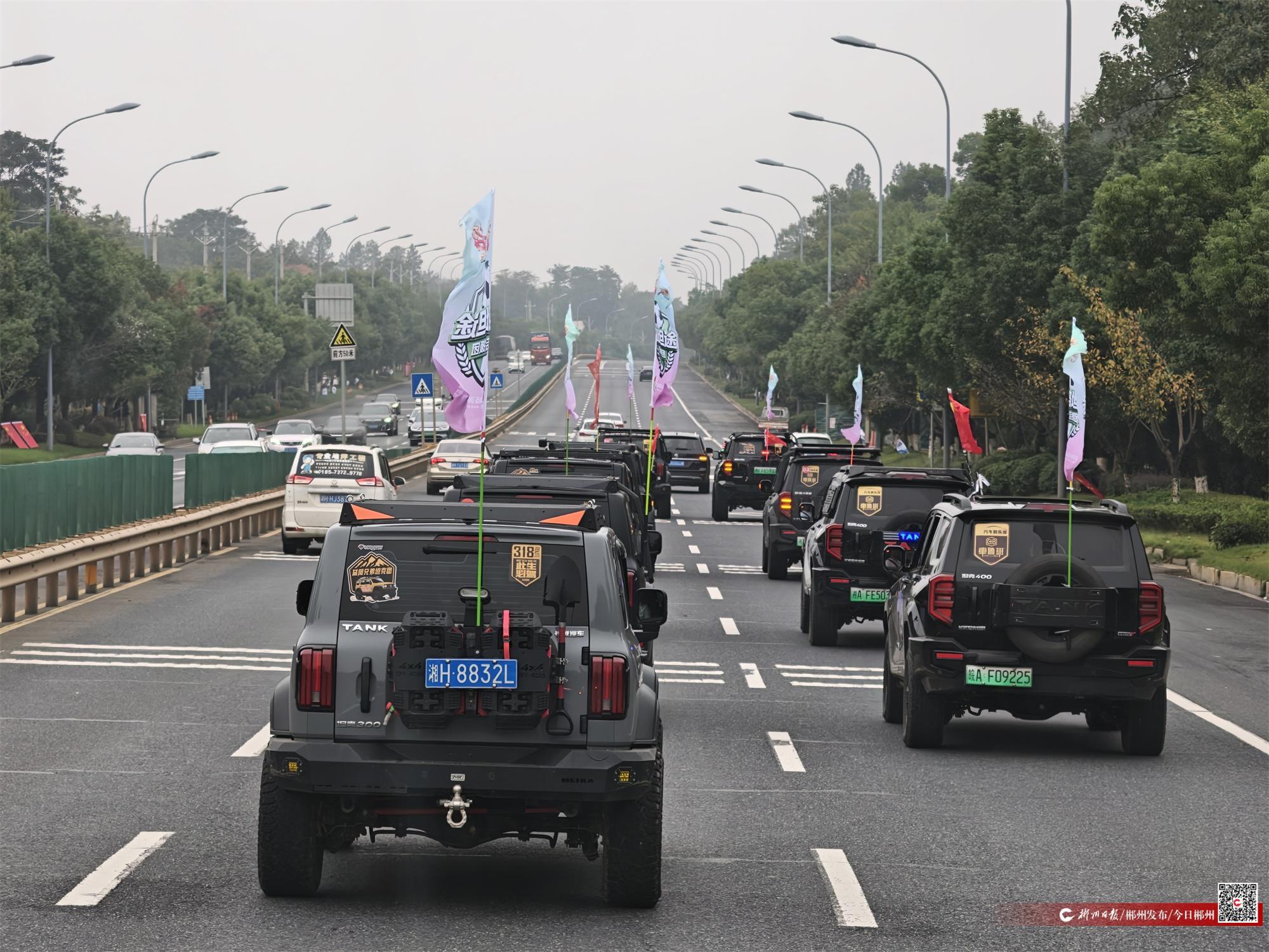 img, 益阳主场球, img