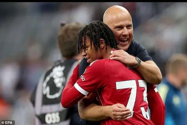 低投入高潜, img 低投入高潜, img