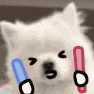 zUY, bmJqr, 机械萌友